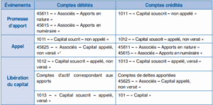 le capital analyse comptable