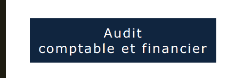 Audit Comptable et Financier