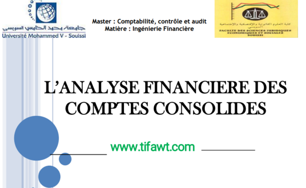 analyse financière comptes consolidés en pdf